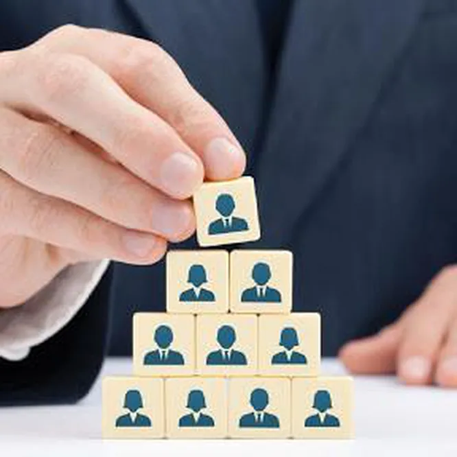 Cơ Cấu Tổ Chức